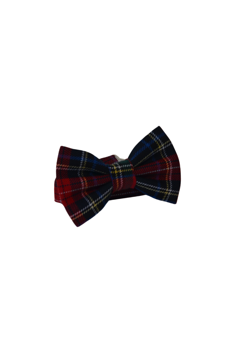 Erkek Çocuk Ekose Papyon