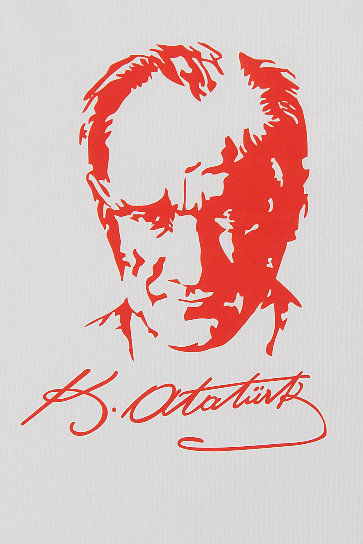 Atatürk Baskılı Beyaz Çocuk Tişört | %100 Pamuk 3-10 Yaş