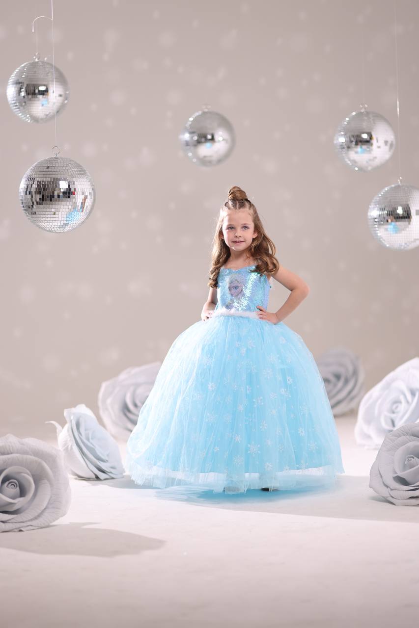 Mavi Resimli Elsa Kostüm